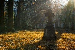 Forumabend: Der Friedhof lebt