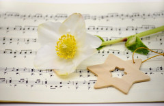 Adventssingen im Christophorus Hof
