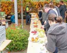 Obsttag im Pflanzencenter der Barnimer Baumschulen Biesenthal