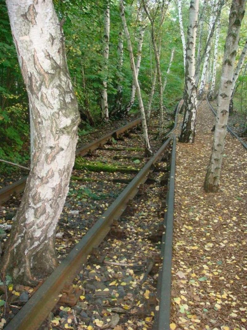 © S. Kumbier - Im Naturpark Schöneberger Südgelände, Berlin