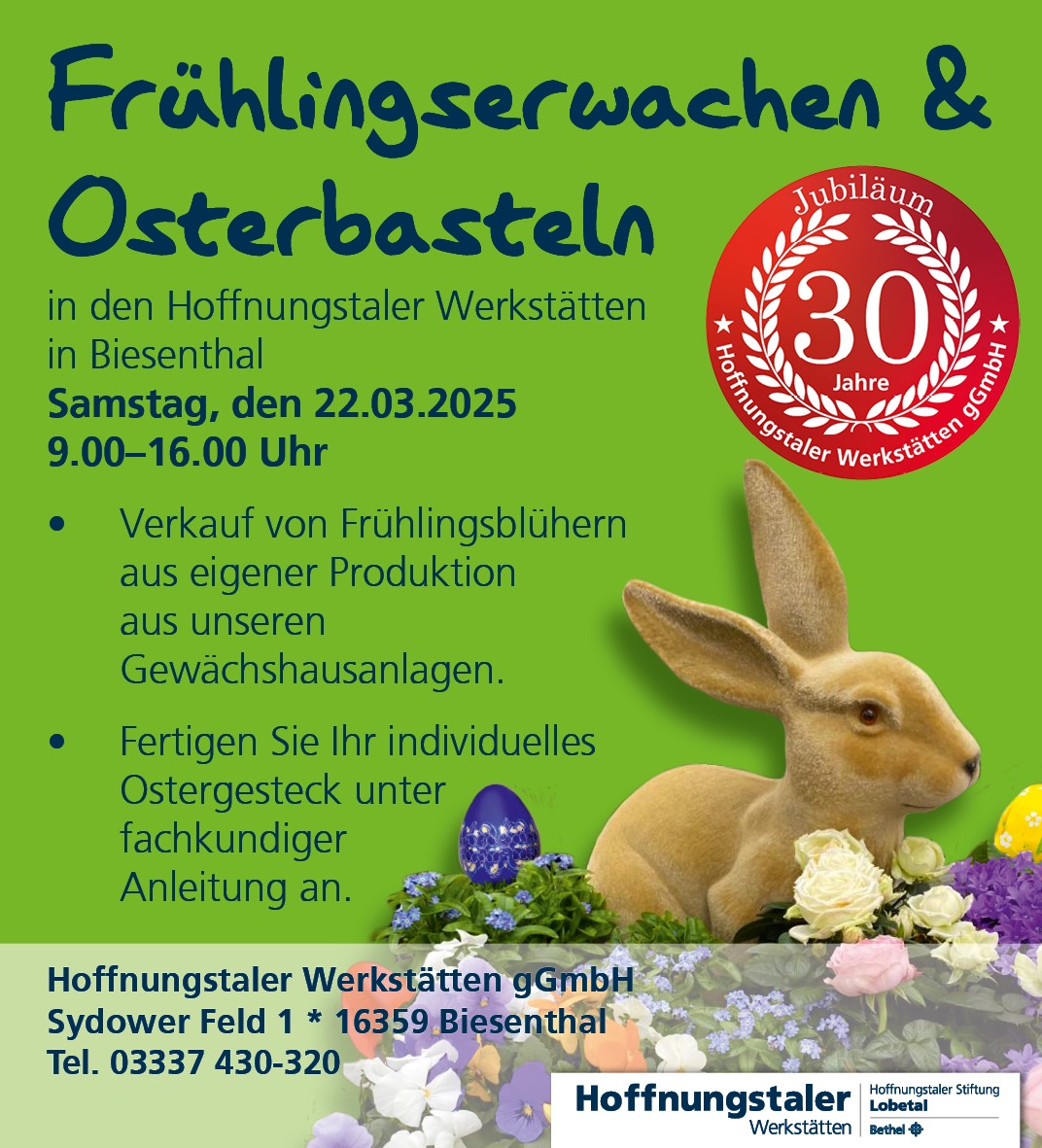 Anzeige Frühlingserwachen 2025