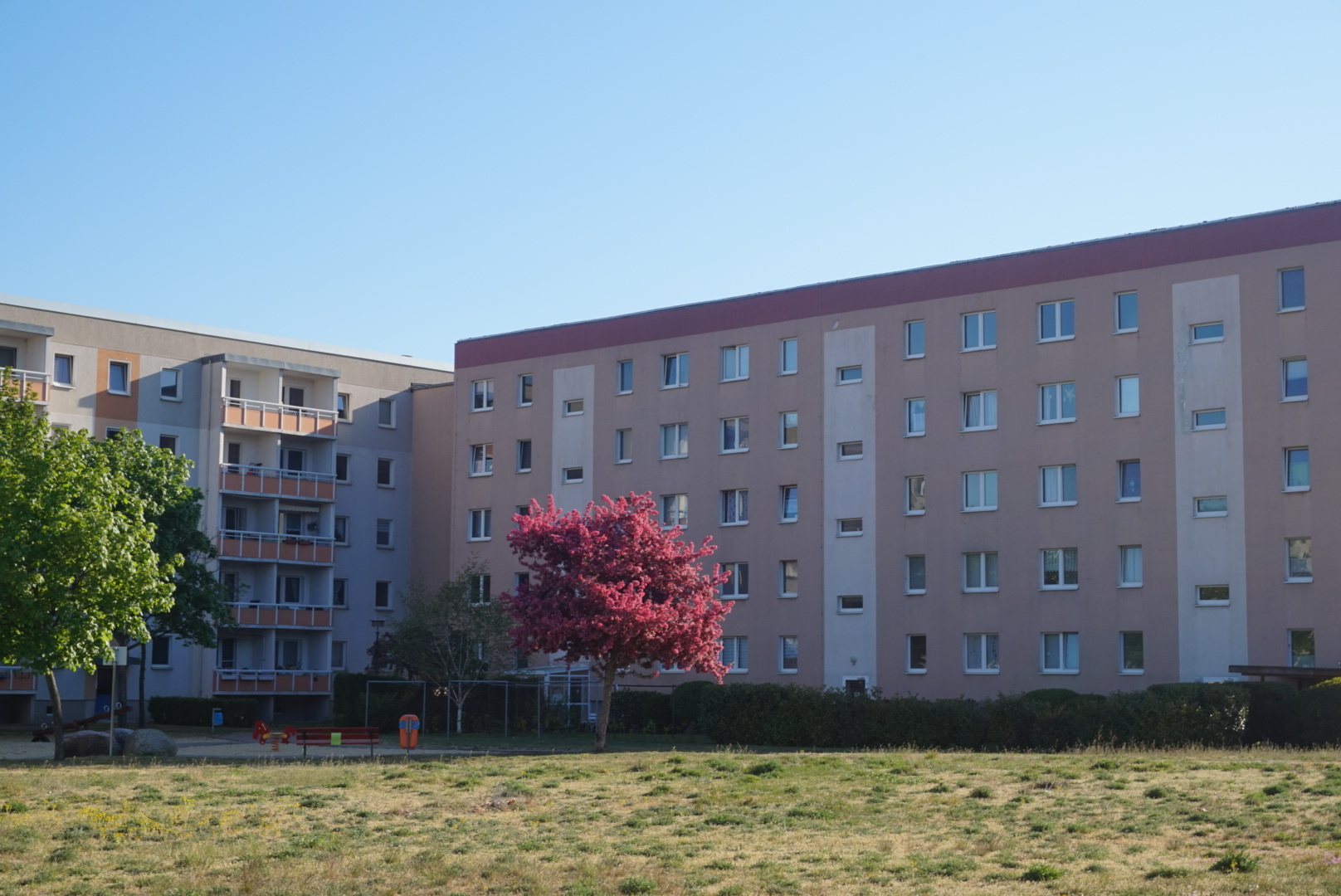 Einrichtungssuche Hoffnungstaler Stiftung Lobetal